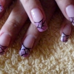 p1070418-800x449